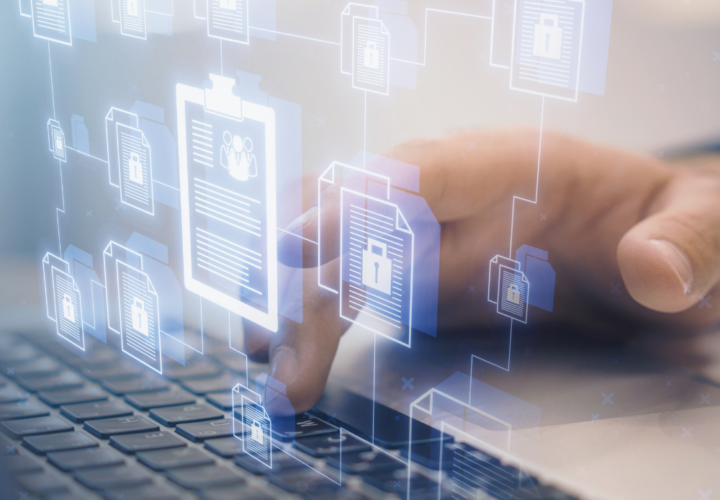 Portal, Total Managed Screening, security vetting portal