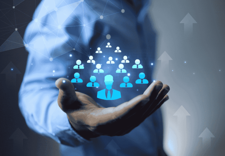 Safeguarding and Risk Insight